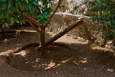 Limonaie del Garda