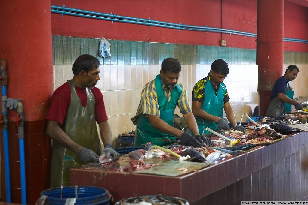 Maldive 2008 - 40 Maldive