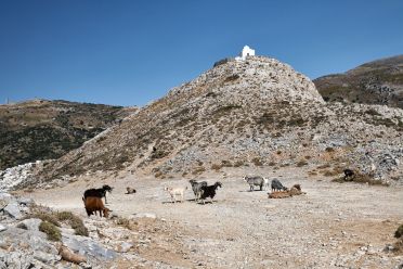 Arte sacra e profana