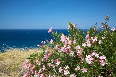 Vacanze all'isola di Naxos Grecia