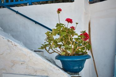 Paesi e dettagli
