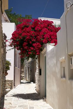 Vacanze all'isola di Naxos Grecia
