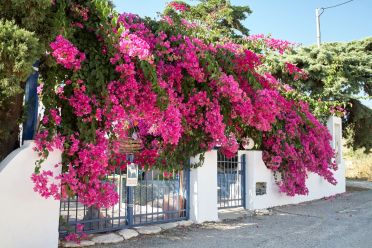 Vacanze all'isola di Naxos Grecia