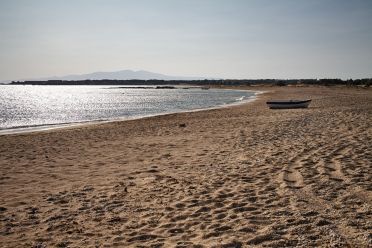 Spiagge