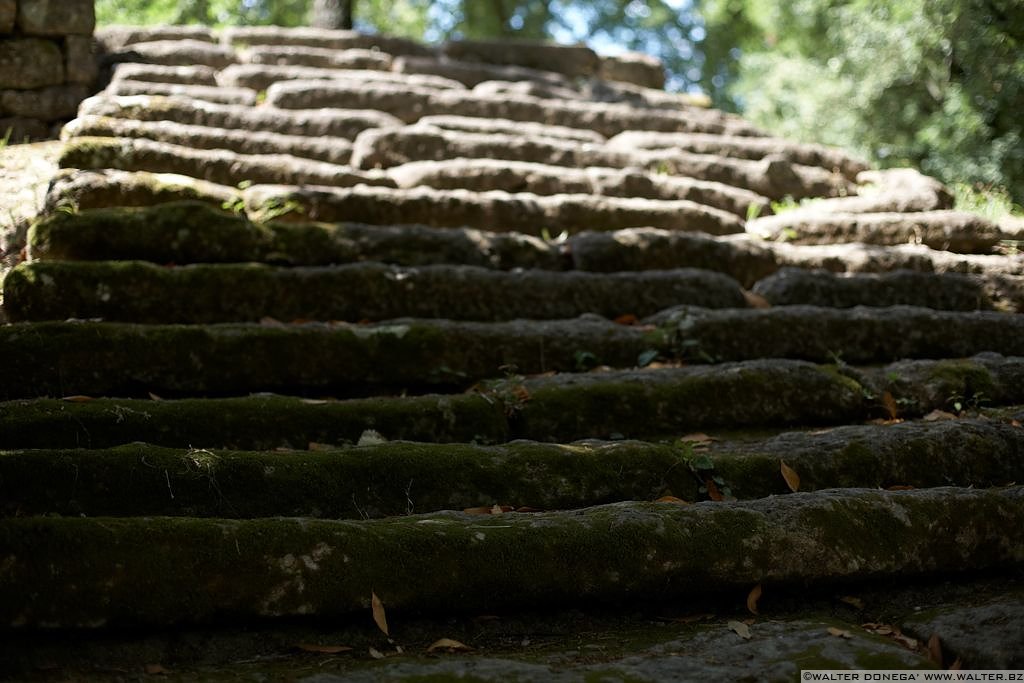 Parco dei mostri di Bomarzo - 11 Il parco dei mostri di Bomarzo