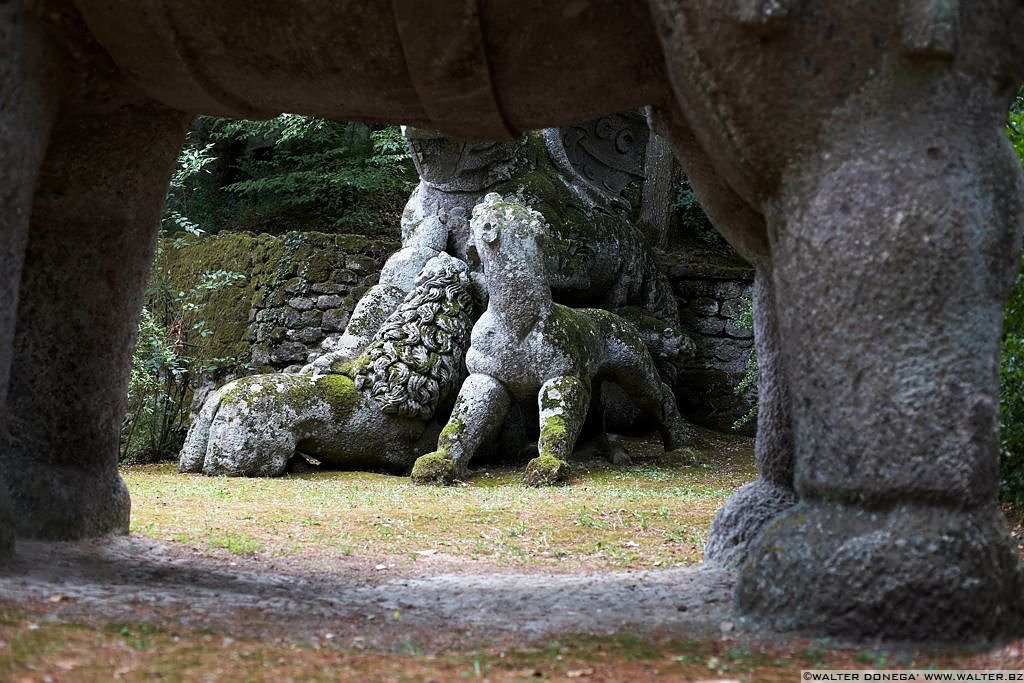 Parco dei mostri di Bomarzo - 16 Il parco dei mostri di Bomarzo