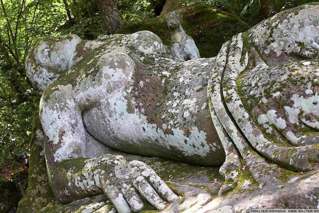 Parco dei mostri di Bomarzo - 22 Il parco dei mostri di Bomarzo