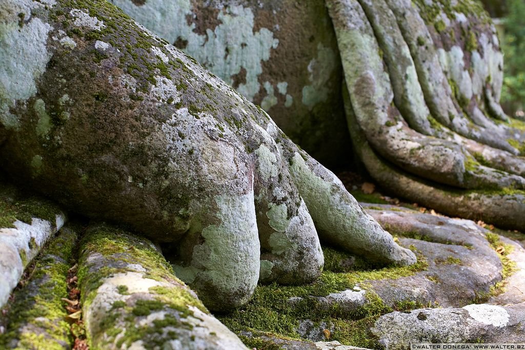 Parco dei mostri di Bomarzo - 24 Il parco dei mostri di Bomarzo