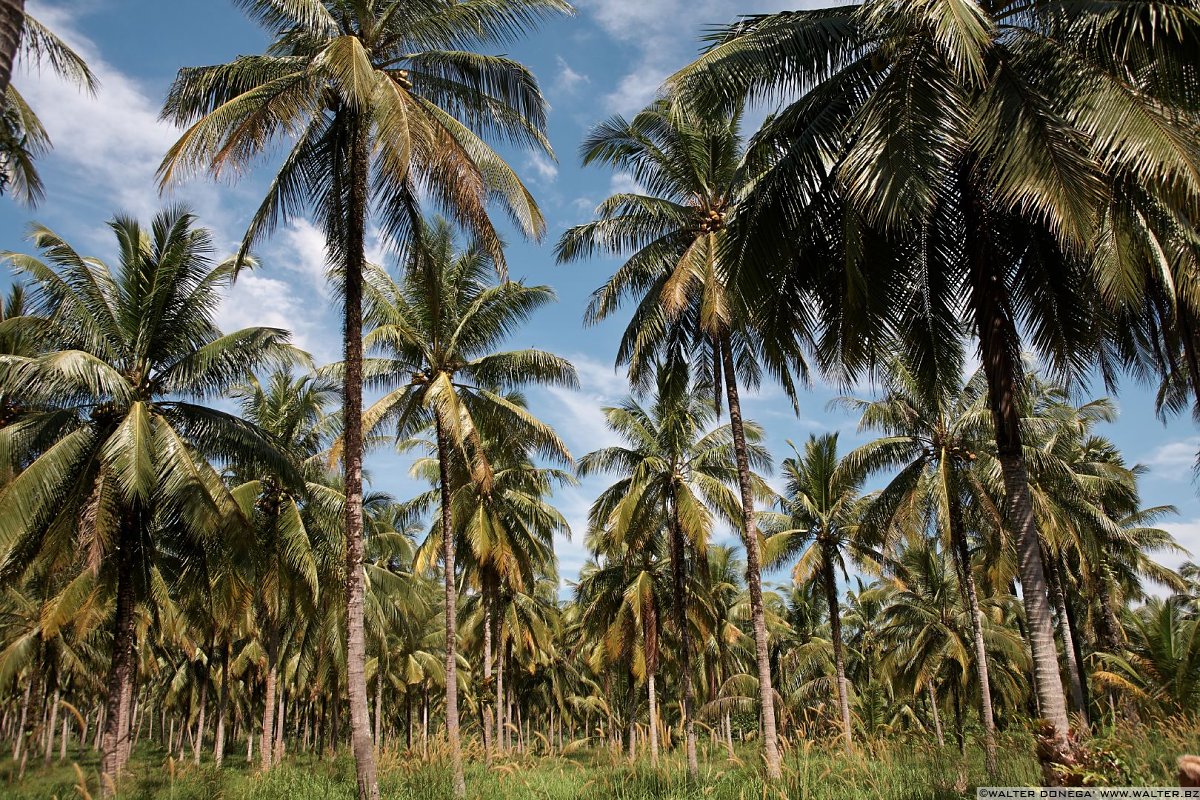 A01 Khao Lak e dintorni