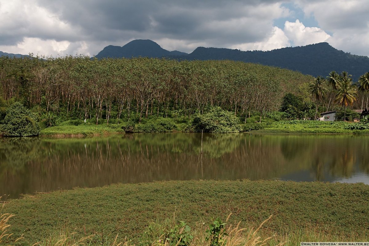 A33 Khao Lak e dintorni