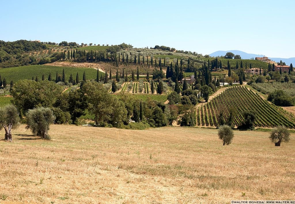 Toscana Val d'Orcia - 16 Val d'Orcia Toscana