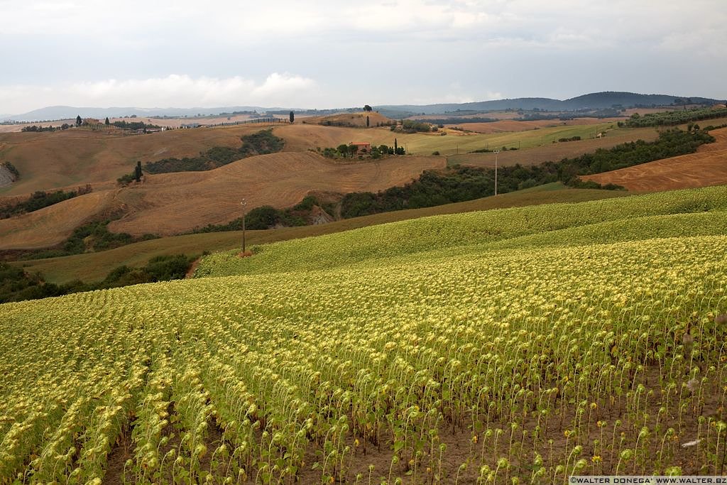 Toscana Val d'Orcia - 27 Val d'Orcia Toscana