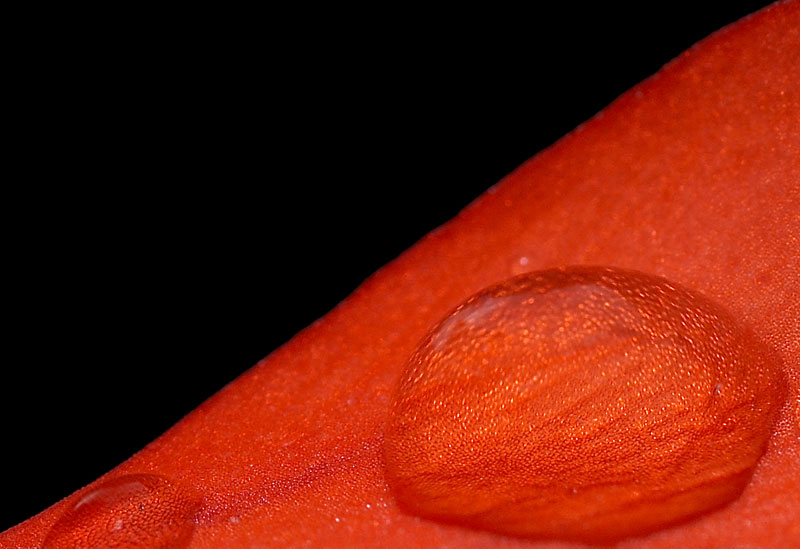 ROUGE ET NOIR Photoblog