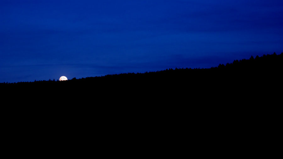 MOONRISE Photoblog