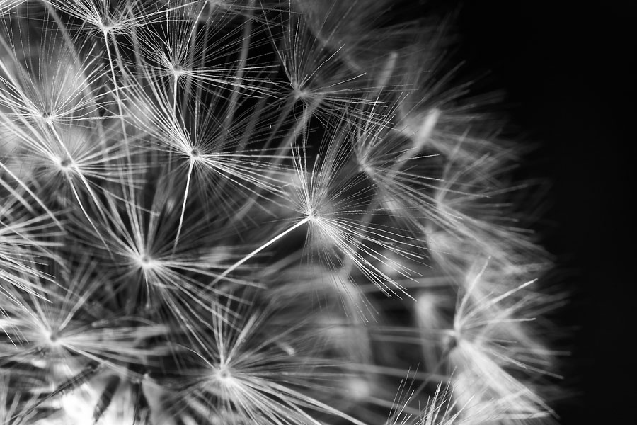 NO WIND Photoblog