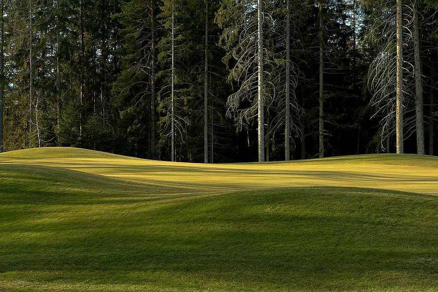 GREEN Photoblog