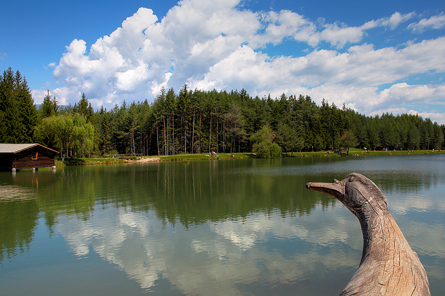 ALPIN LAKE Photoblog
