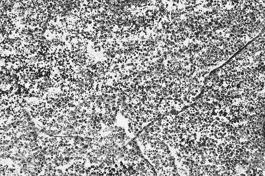 B/W PATTERN Photoblog