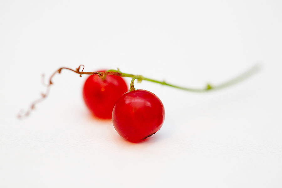 RED FRUITS Photoblog