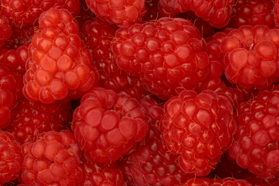 RASPBERRIES - LAMPONI Photoblog