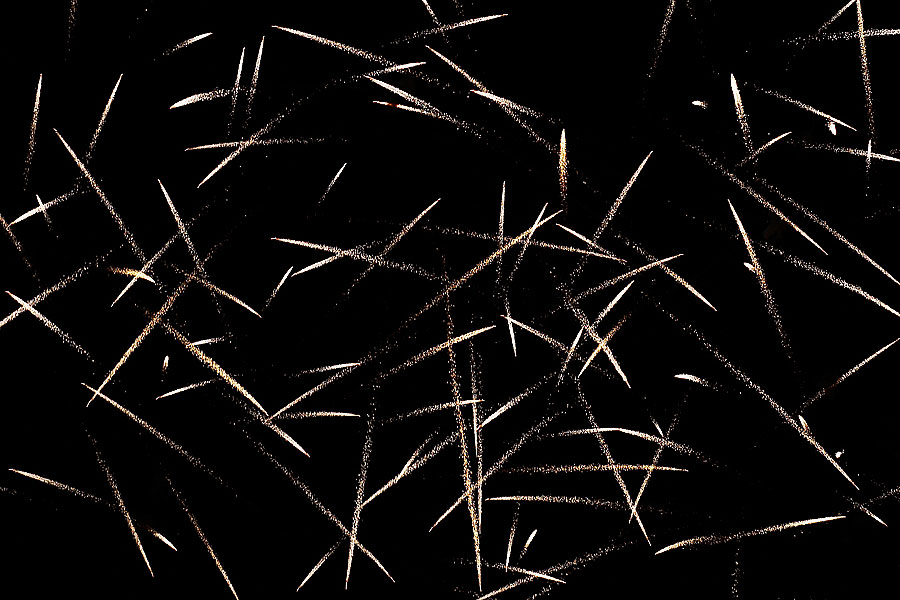 FIREWORKS Photoblog