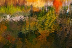 AUTUMN REFLECTIONS ON THE WATER