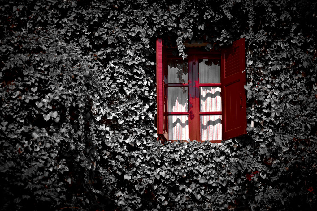 A RED WINDOW Photoblog