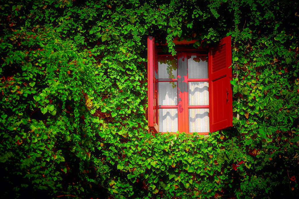 A RED WINDOW - COLOR EDITION Photoblog