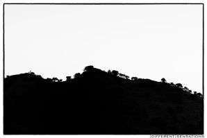 THE BLACK HILL