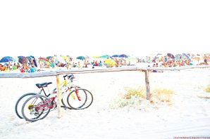 THE BEACH