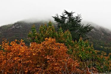 THREE LEVELS OF AUTUMN