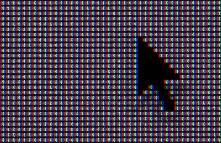 BLACK POINTER ON A WHITE BACKGROUND Photoblog