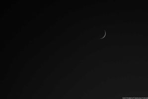 GOOD NIGHT