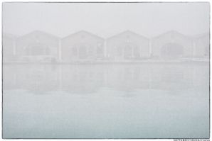 THE FOG