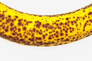 RUSTY BANANA
