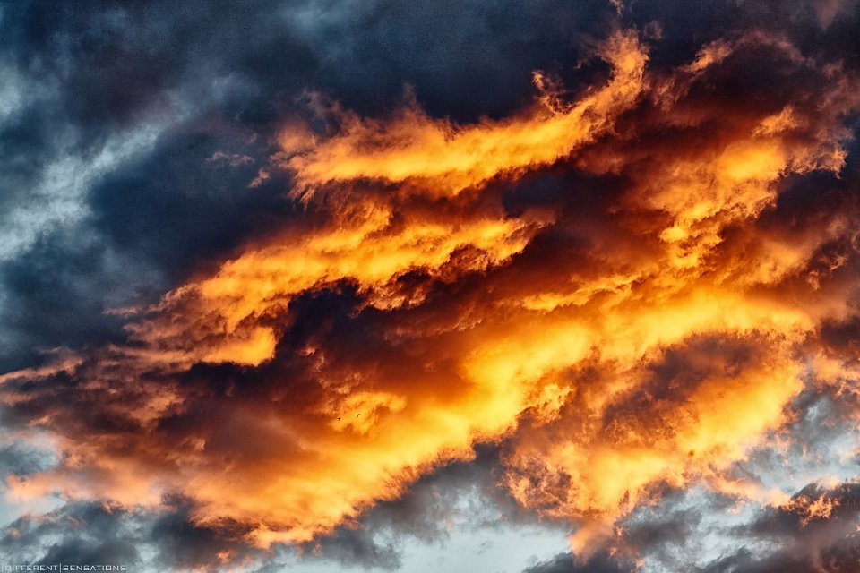 FUOCO E FIAMME Photoblog
