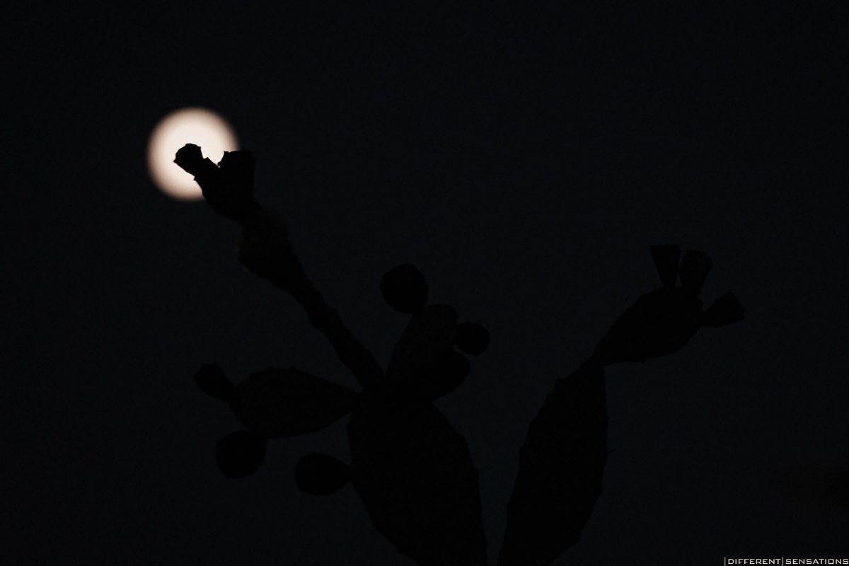 LUNA DI UNA NOTTE DI MEZZA ESTATE Photoblog