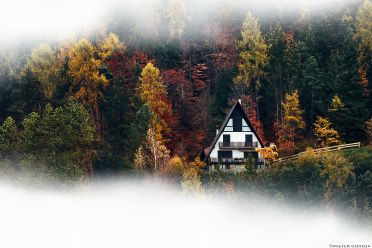 La casa nel bosco
