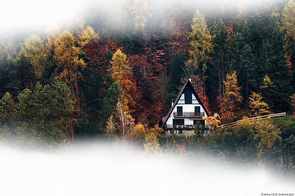 La casa nel bosco Photoblog