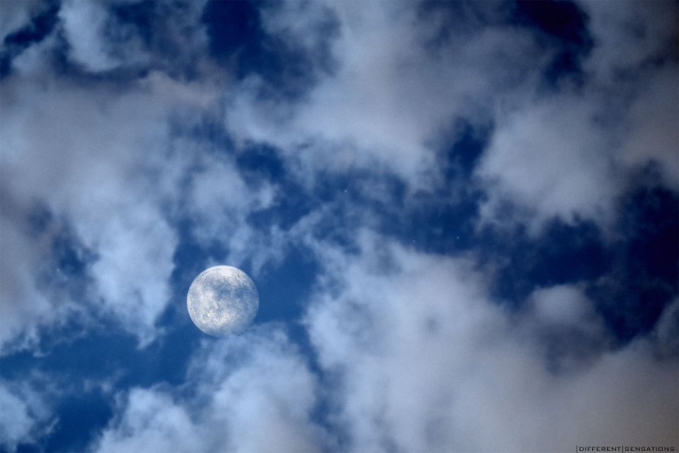 La luna blu Photoblog
