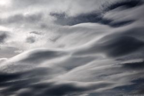 THE CLOUD