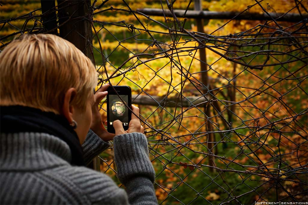 LA BELLEZZA È CIÒ CHE VEDE L'OCCHIO DEL FOTOGRAFO Photoblog