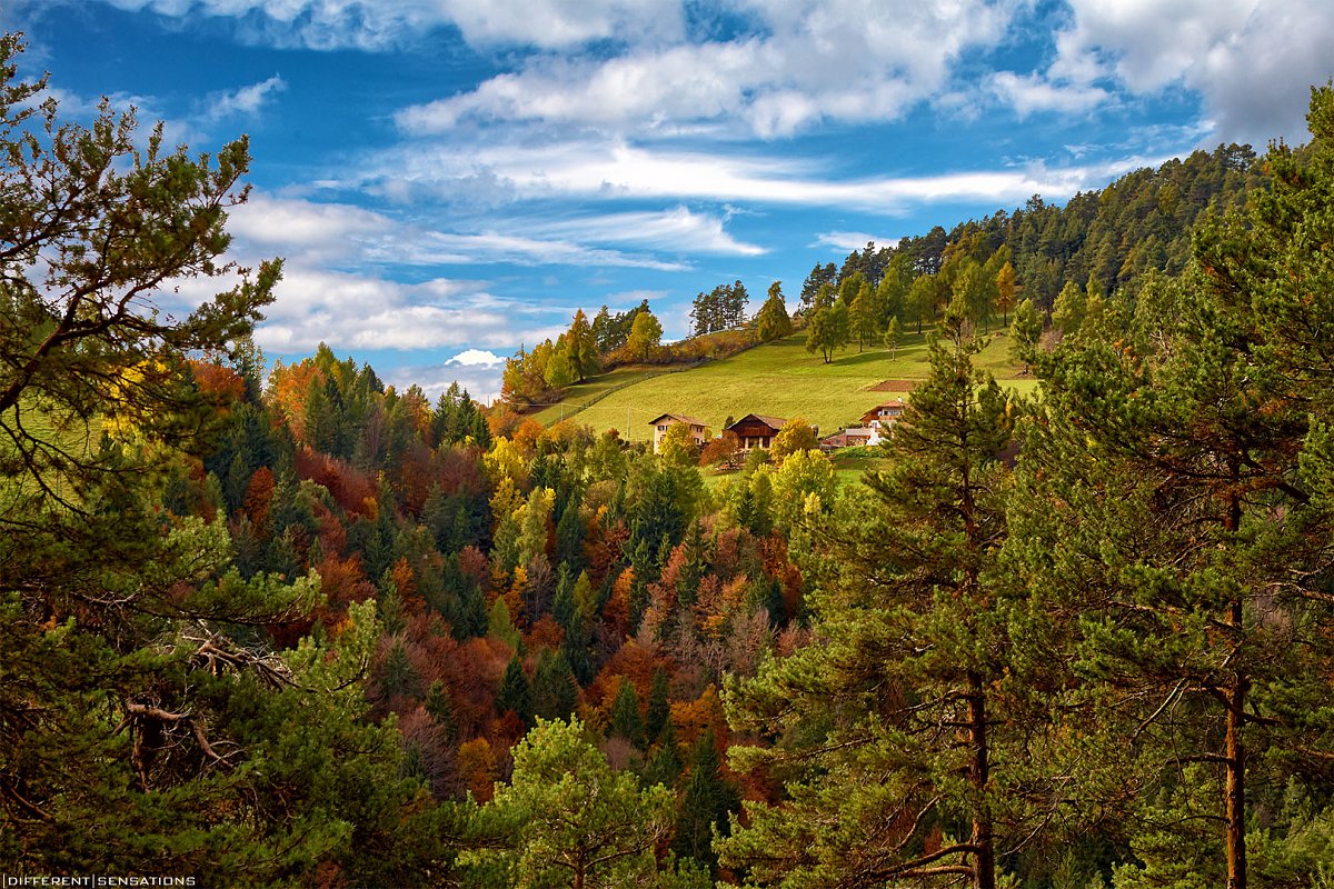 COLORI D'AUTUNNO Photoblog