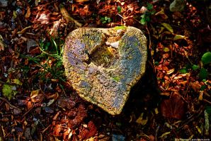 CUORE SPEZZATO
