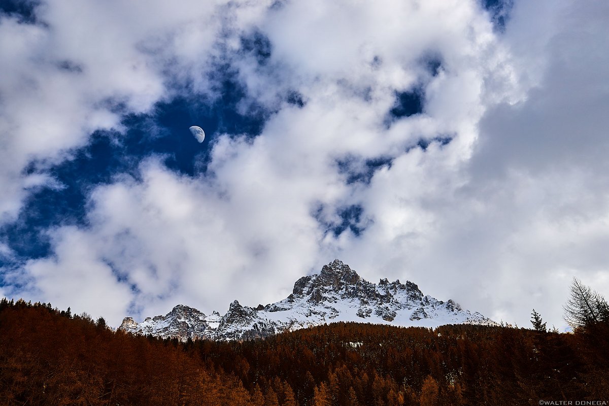 Dillo alla luna Photoblog