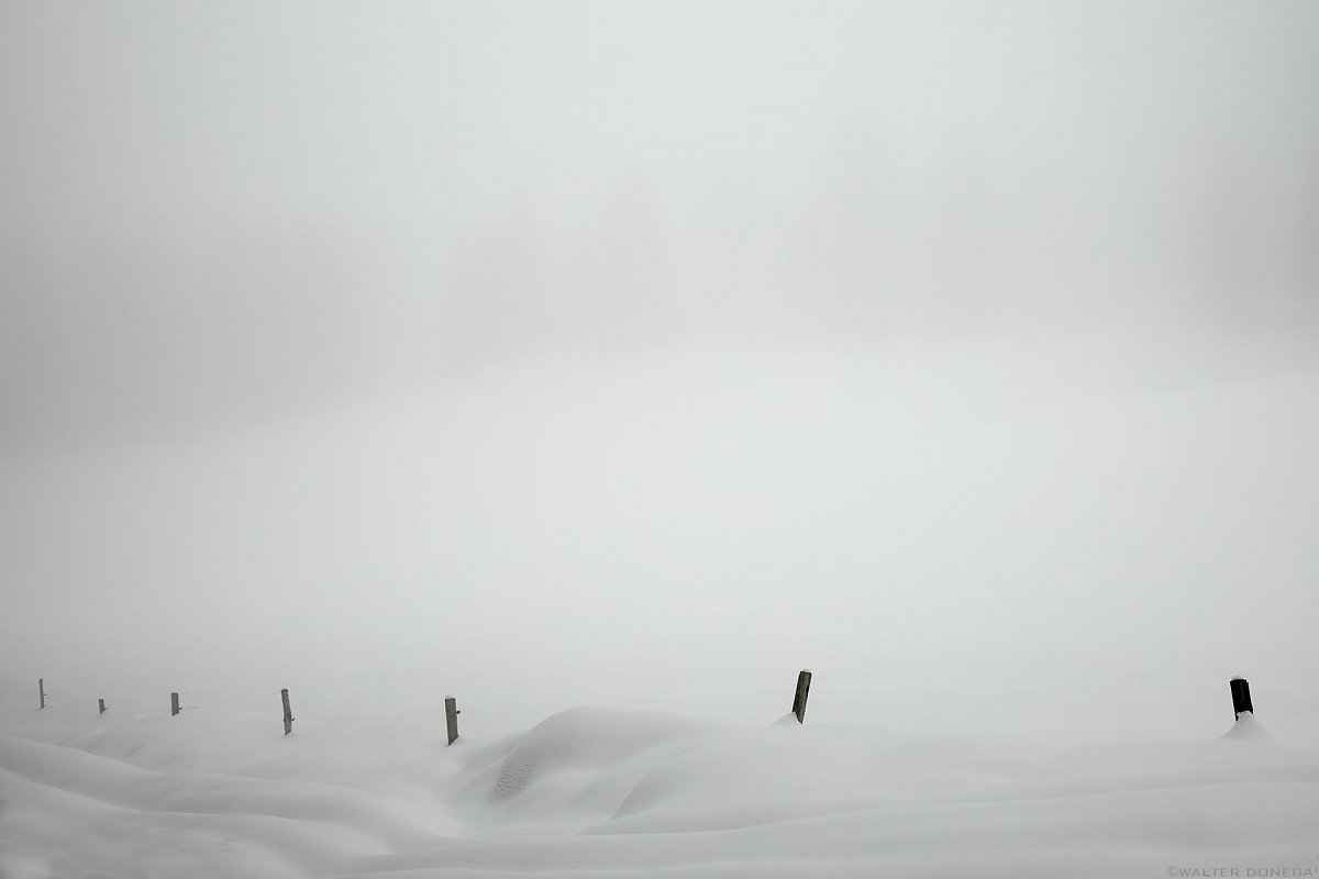 DISSOLVENZA IN BIANCO Photoblog