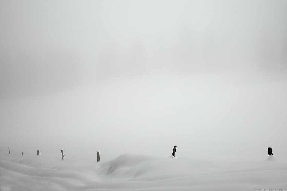DISSOLVENZA IN BIANCO Photoblog