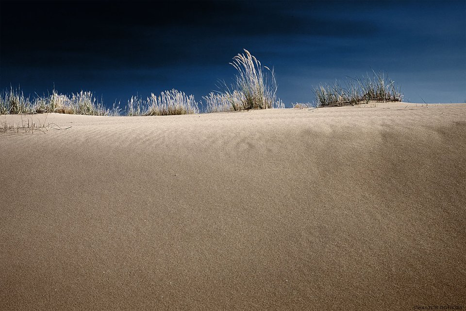 Dune Photoblog