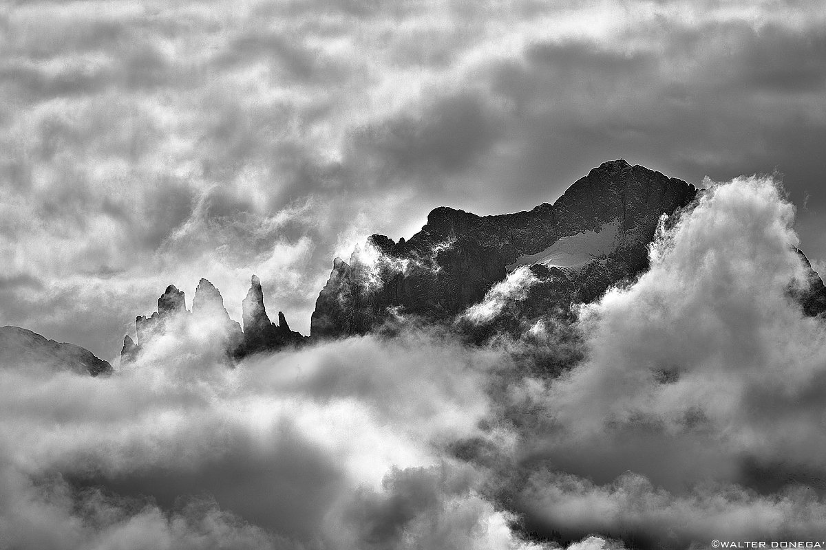 Giardini di rose e nuvole Photoblog