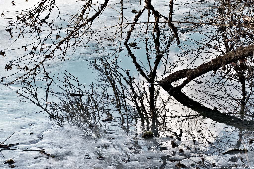 ICE REFLECTIONS Photoblog